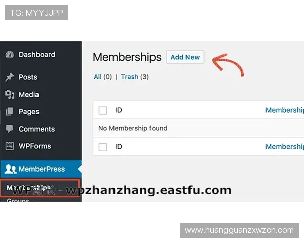 皇冠会员网址登3，快速访问皇冠会员专属服务入口指南