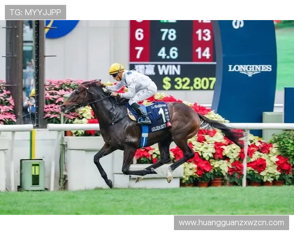 全面解析马会投注的玩法规则与投注技巧，助你在赛马中稳操胜券